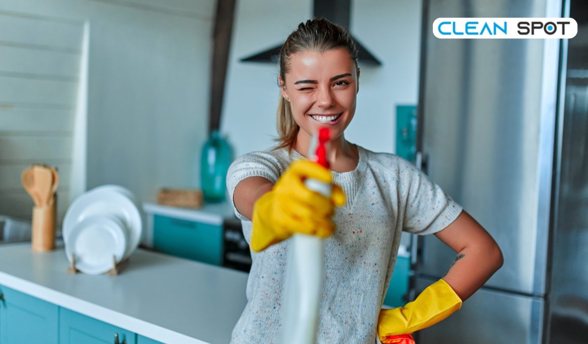 curatenie generala oradea